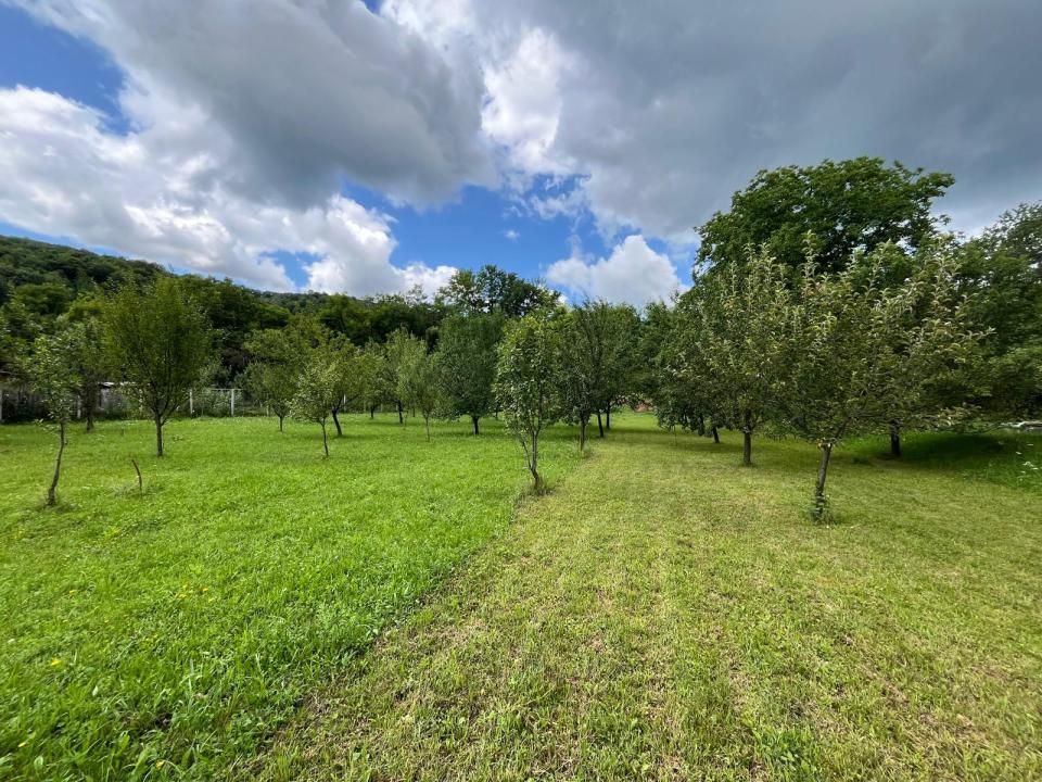 Casă P+M 4 dormitoare 188 mp și teren de 3.400 mp cu livadă in Pucioasa-Sat – fotografia 12 din 19