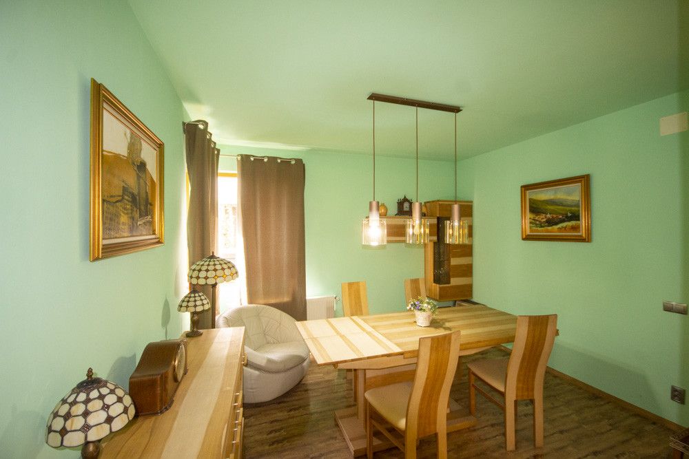 Inchiriere vila cu personalitate zona Tudor Vladimirescu – fotografia 1 din 14