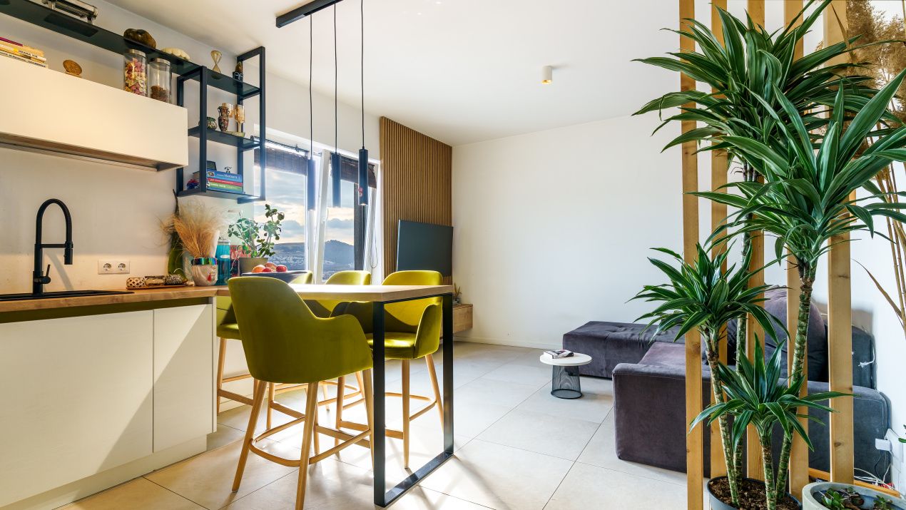 Apartament de vanzare cu terasa | Donath Park – fotografia 8 din 11