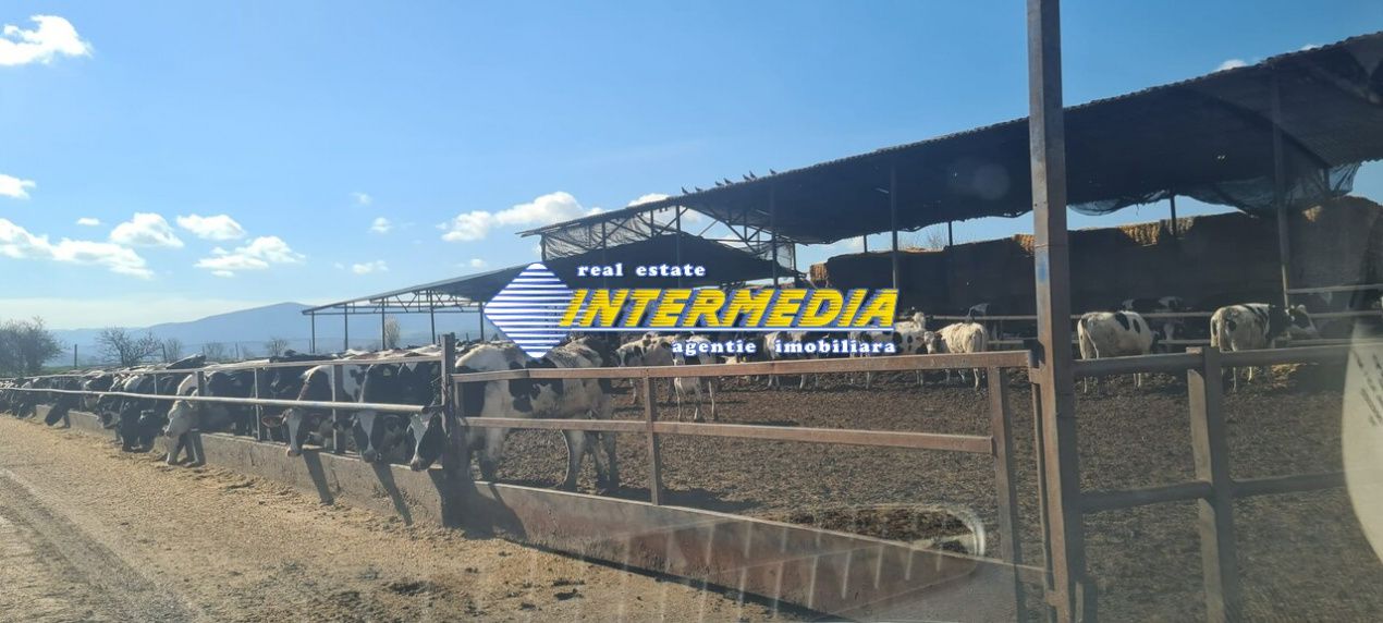 Ferma de vanzare in apropiere de Alba Iulia – fotografia 2 din 12