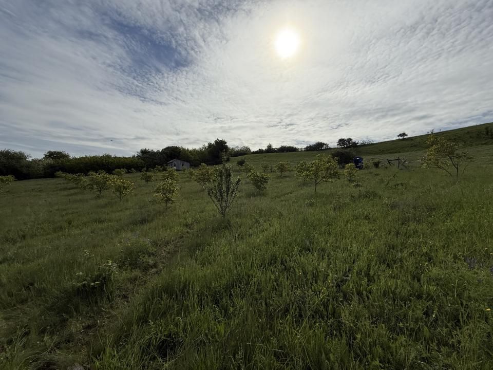 Teren pentru dezvoltare rezidențială | finalizare PUZ în Octombrie |  13 case – fotografia 5 din 6