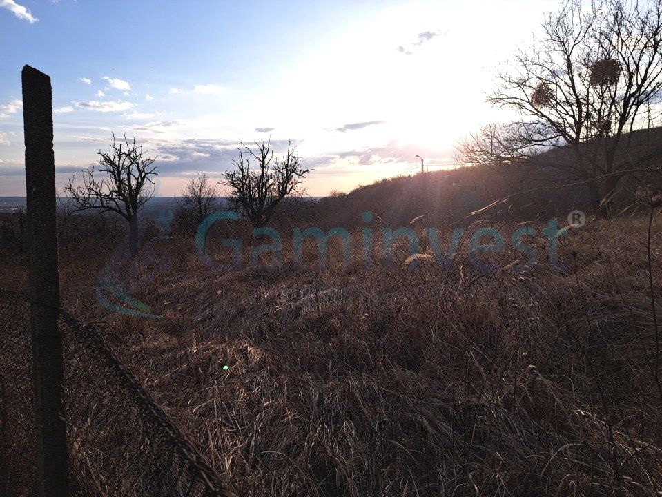 Teren intravilan de 3250 mp in Podgoria, de vanzare, Bihor – fotografia 2 din 2