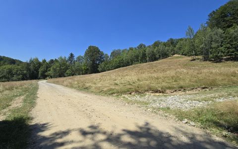De vânzare teren de 36.200 mp teren în Poiana Mărului