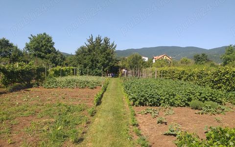 Teren Intravilan Vanzare 1400 mp. Alba Micesti deschidere 16m. Toate Utilitatile