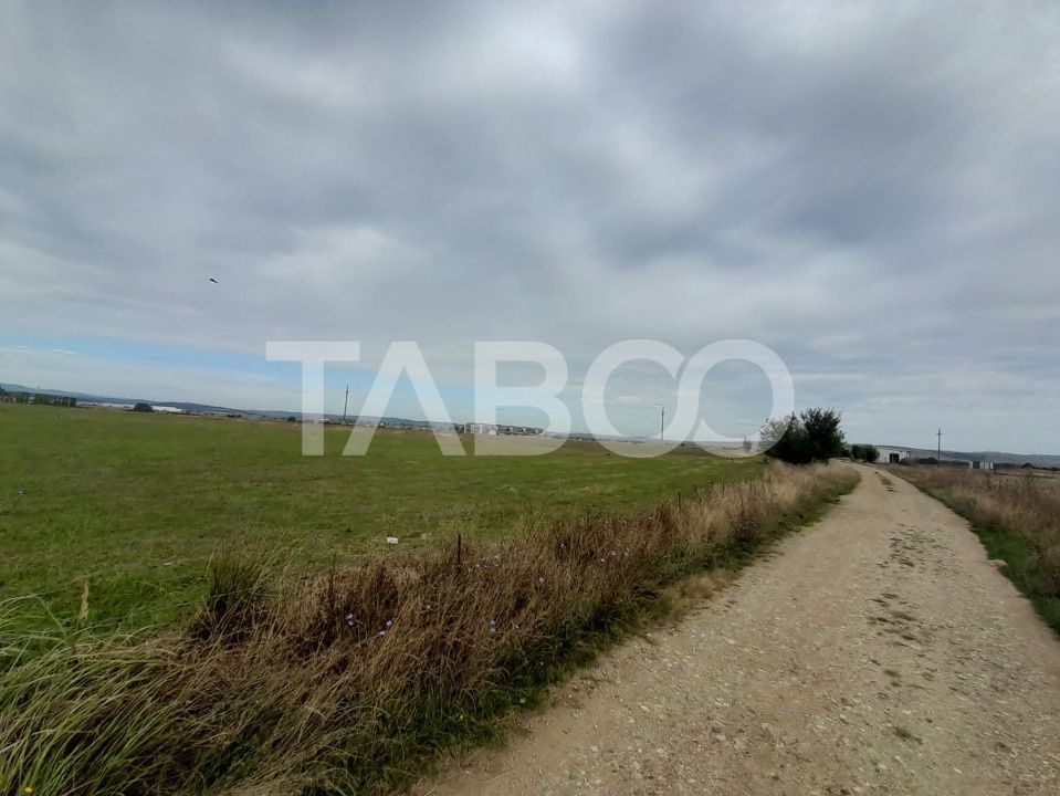 Teren intravilan 2 fronturi de 35 m fiecare 8.000 mp Turnisor Sibiu – fotografia 3 din 9
