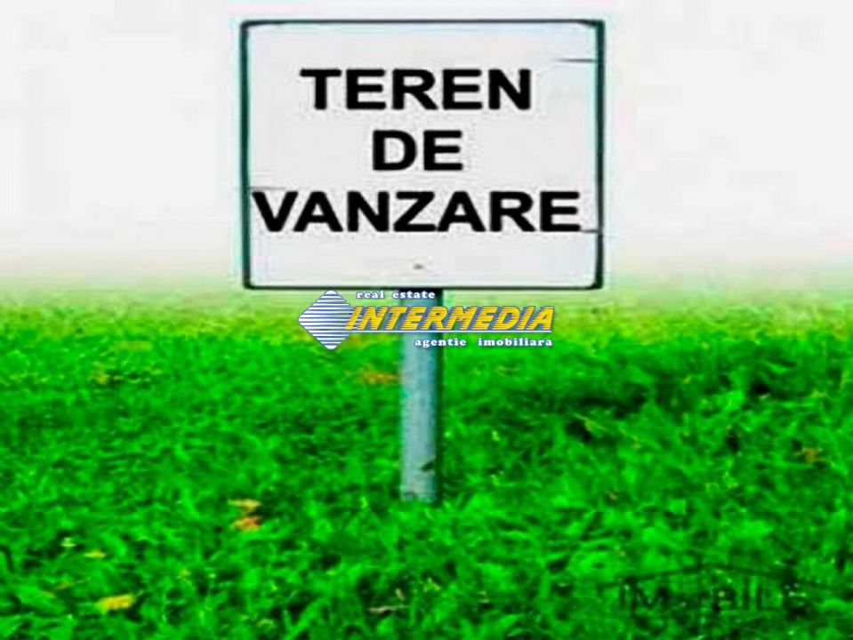 Teren intravilan de vanzare 3557 mp d=20.5 Alba Micesti ideal investitie – fotografia 3 din 3
