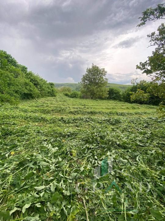 Teren 2200 mp, în Rădaia, com Baciu – fotografia 1 din 1