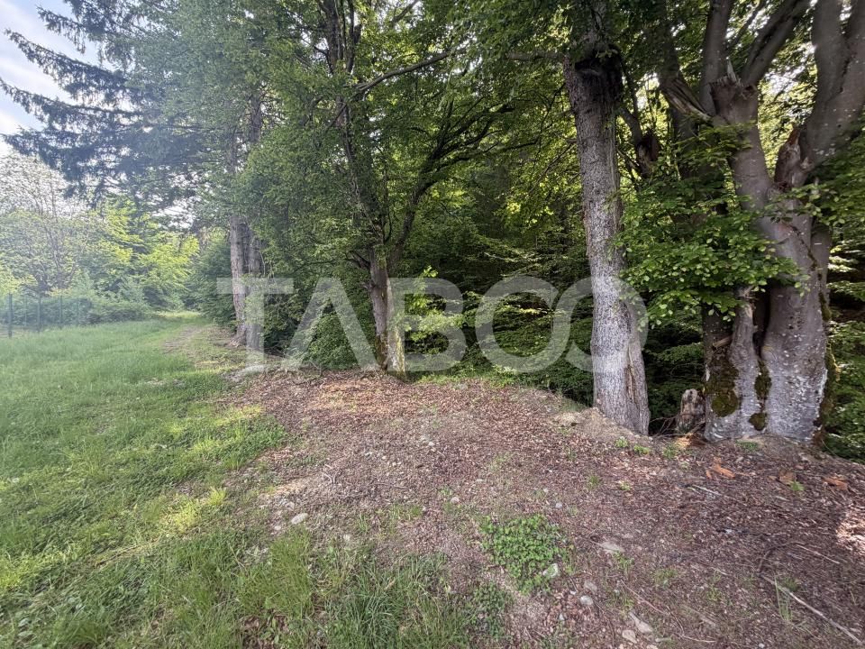 Teren intravilan 1000 mp front stradal 40 m langa Partia de Ski Dragus – fotografia 2 din 4