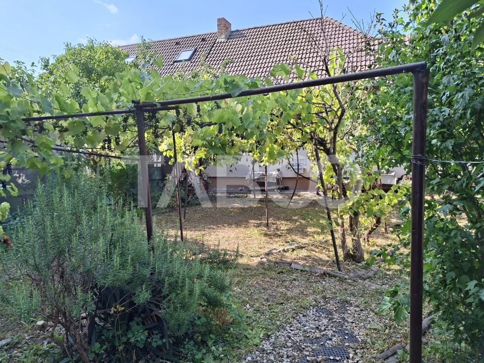 Casa cu 2 camere decomandate 335 mp teren in zona Parcul Tineretului – fotografia 7 din 14
