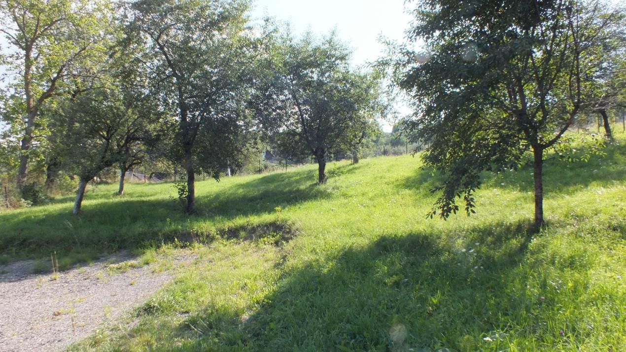 Teren Bran Sohodol , o zona de vis, o priveliste unica spre Bucegi! – fotografia 13 din 17