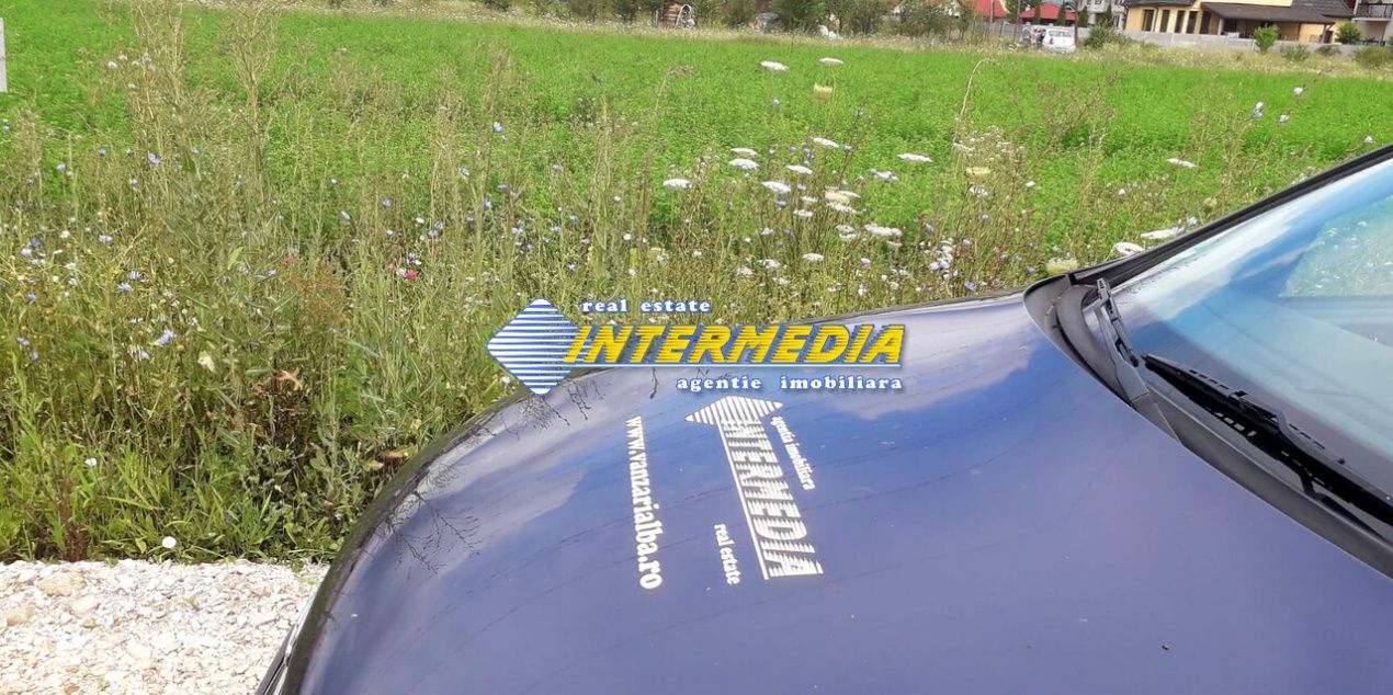 Teren intravilan  600 mp  - 1800 mp zona Valea Popi – fotografia 3 din 3