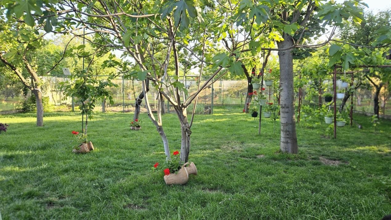 Casa din povesti, 5 camere, pe parter- zona Lipovei Timișoara – fotografia 5 din 24