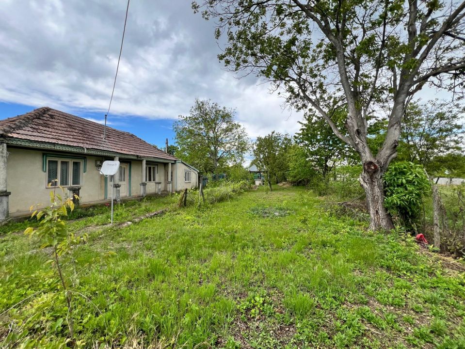 Casă + teren 4430 mp, vie și pomi fructiferi, 22 km de Tecuci – fotografia 4 din 36