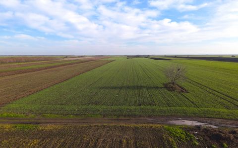 Teren Investitional 1,24 ha Com Berceni | deschidere 42ml | #CG28