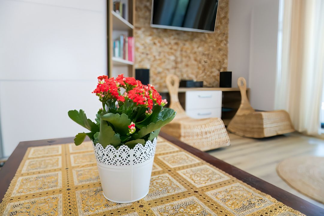 Studio Ultrafinisat cu Terasă si vedere Panoramică – fotografia 1 din 39