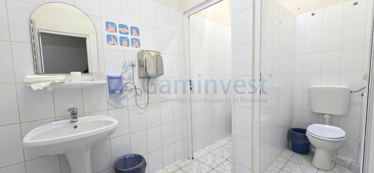 Hala de inchiriat in Marghita pentru productie si depozitare, Bihor – fotografia 17 din 19