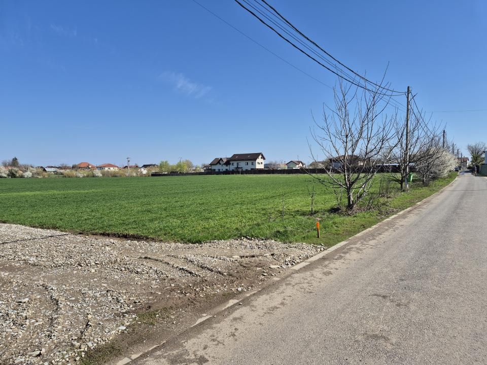 Două loturi de teren alăturate de 522mp și 536mp, Snagov- Ciofliceni! – fotografia 9 din 9