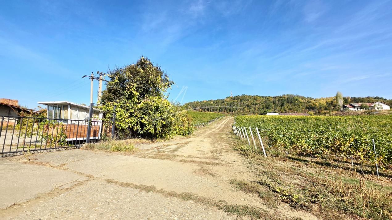 Teren intravilan de 1.800 mp, lângă cramă, Viișoara, Ștefănești, Argeș – fotografia 3 din 11