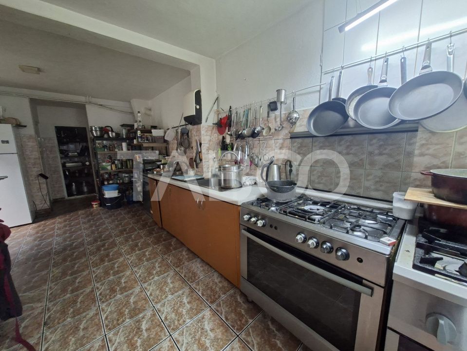 Spatiu de vanzare in Valea Macesului judel Valcea iesire la Lotru – fotografia 17 din 49