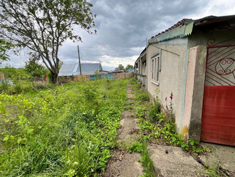 Casă + teren 4430 mp, vie și pomi fructiferi, 22 km de Tecuci – fotografia 23 din 36