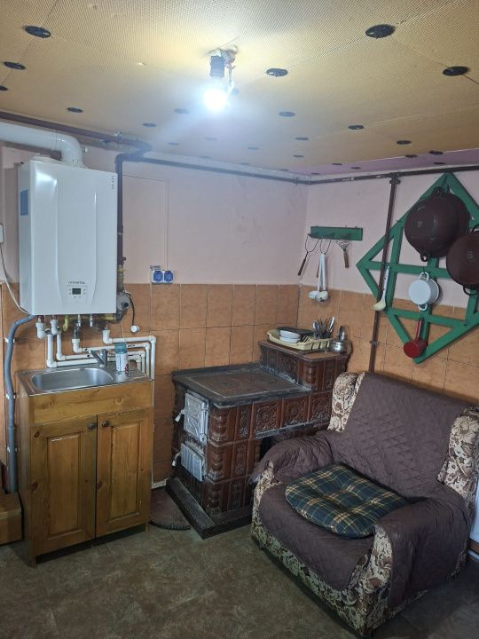 Casă în Cricău cu 1.375 mp teren, anexe, utilități, vie și livadă - Oportunitate – fotografia 50 din 54