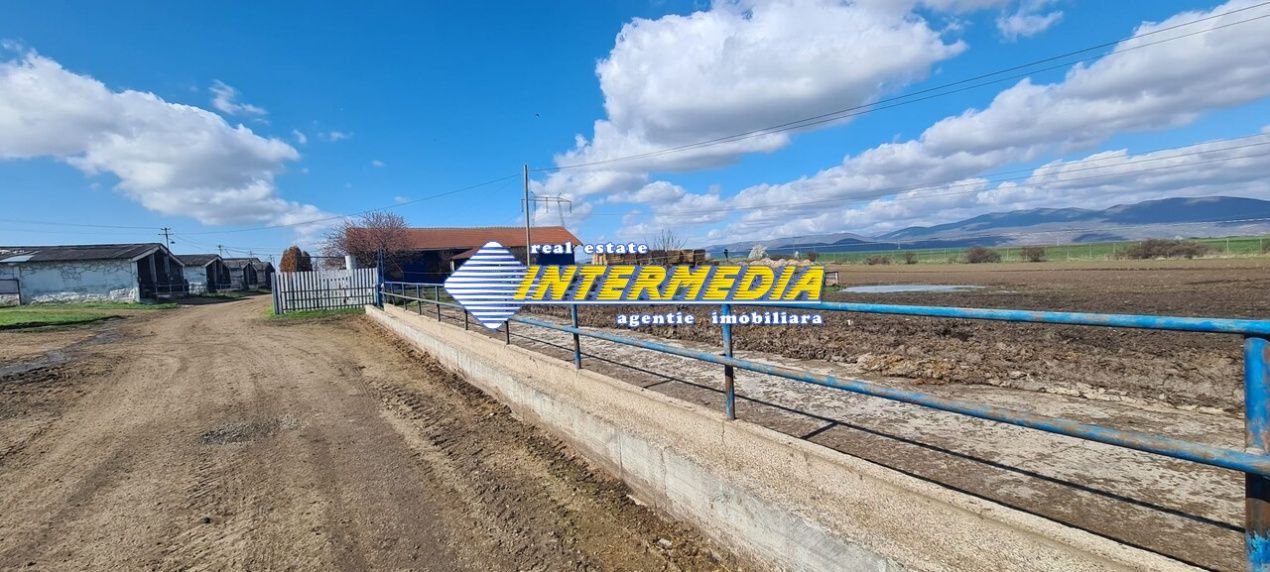 Ferma de vanzare in apropiere de Alba Iulia – fotografia 10 din 12
