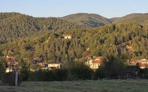 Teren de vânzare în Sovata - 1000 mp / Dealul Mestecănișului
