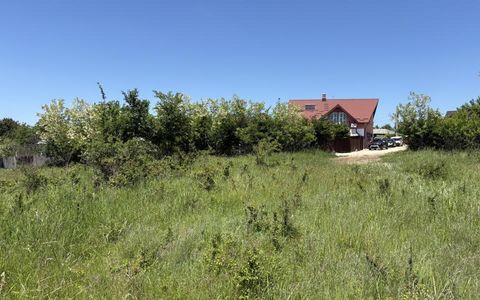 Intravilan 3015 mp Moșoaia | 48 ml deschidere | Lângă pădure
