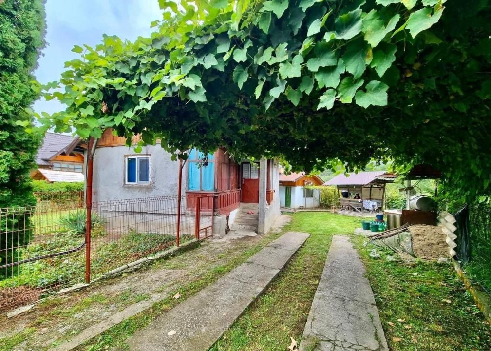 Casă de vânzare în Nucșoara – Sboghițești, teren 2400 mp – fotografia 1 din 4