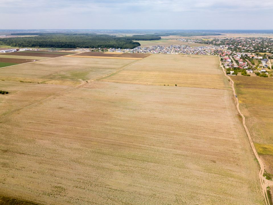 DASCALU - TEREN INTRAVILAN 7500 MP, INVESTITIE! – fotografia 8 din 17