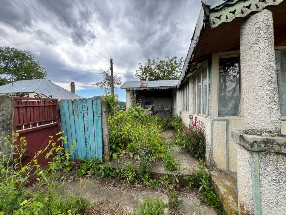 Casă + teren 4430 mp, vie și pomi fructiferi, 22 km de Tecuci – fotografia 15 din 36