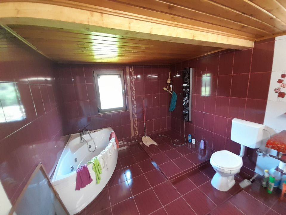 Casa individuala 4787mp teren,zona RUSU BARGAULUI – fotografia 25 din 32