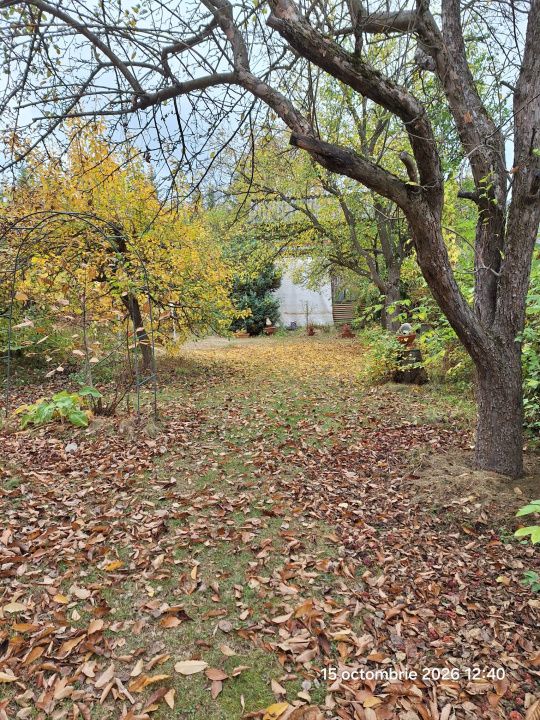 Teren intravilan Tocile, 1.093 mp / livadă, cabană, rulotă și o toamna frumoasă! – fotografia 3 din 37