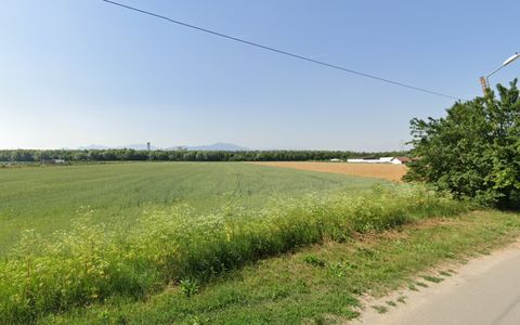 Teren de vanzare Stupini Brasov - oportunitate de investitie