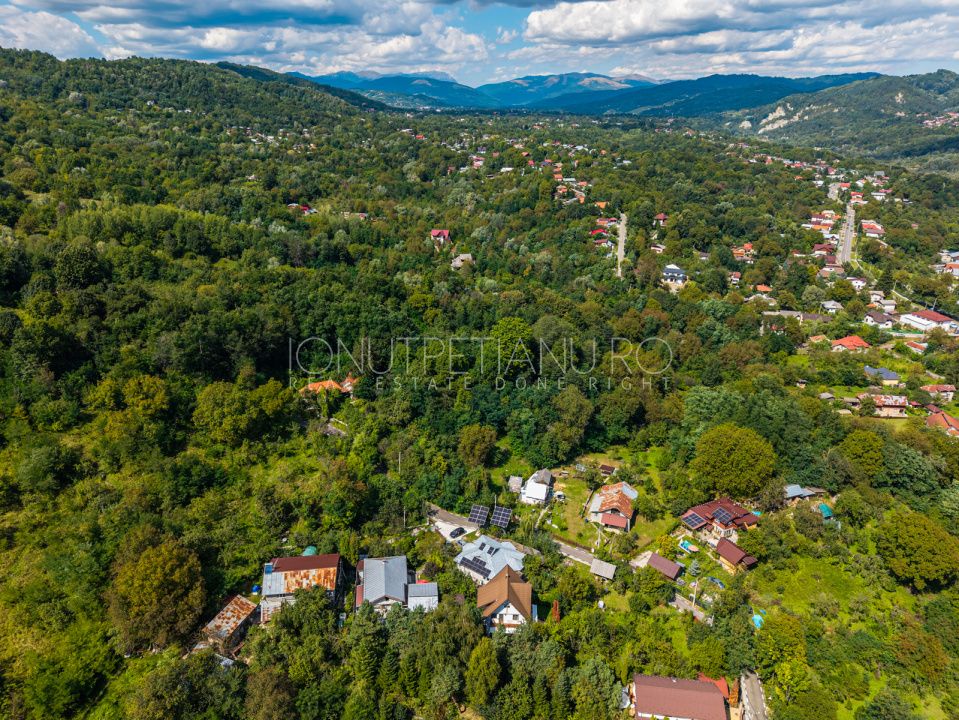 Teren 3.886 mp, Breaza - Podu Vadului, 30 m deschidere la asfalt – fotografia 10 din 16