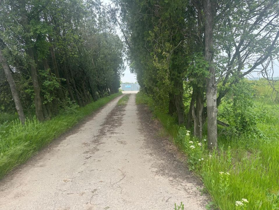 Investitie Litoral! Teren intravilan de vanzare | 46.000mp | Neptun – fotografia 12 din 24