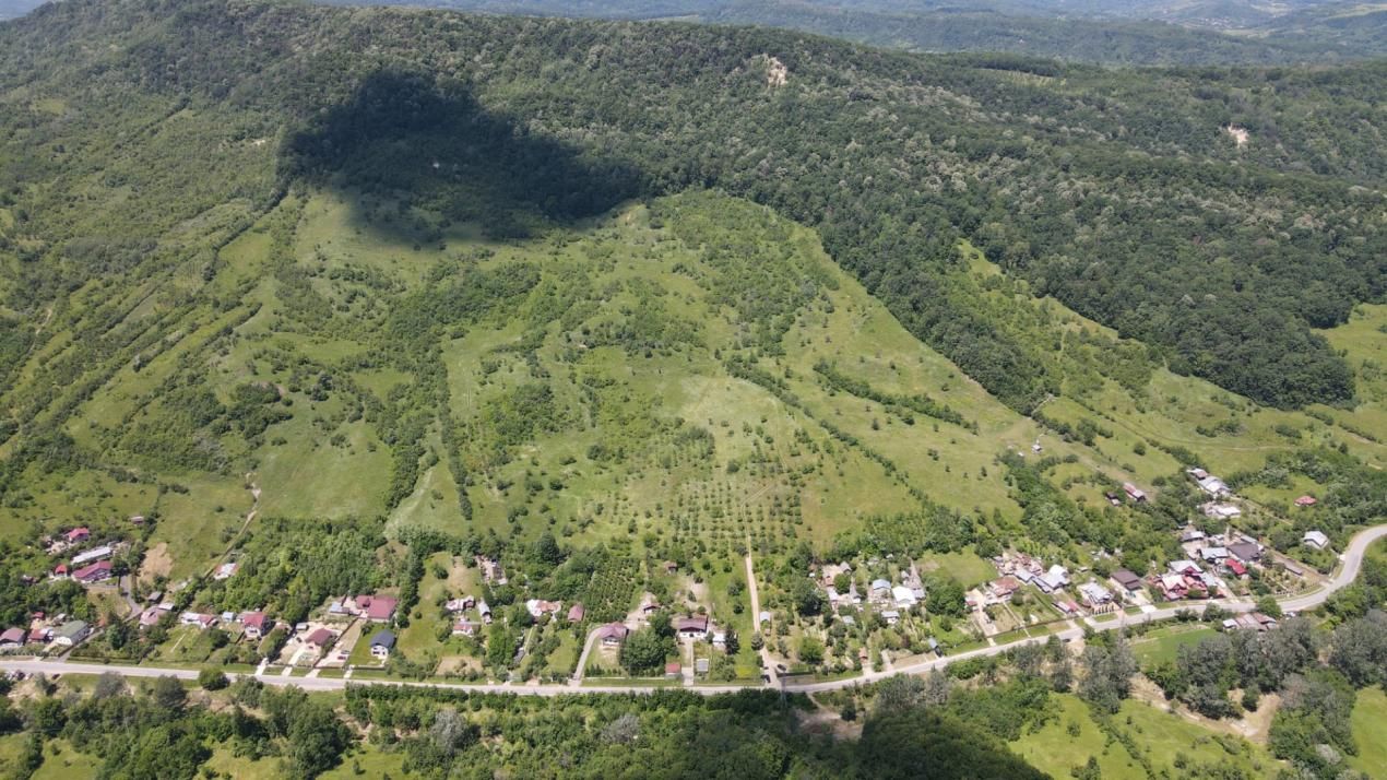 Teren spectaculos cu padure, livada si priveliste panoramica in Soimari PH – fotografia 13 din 16