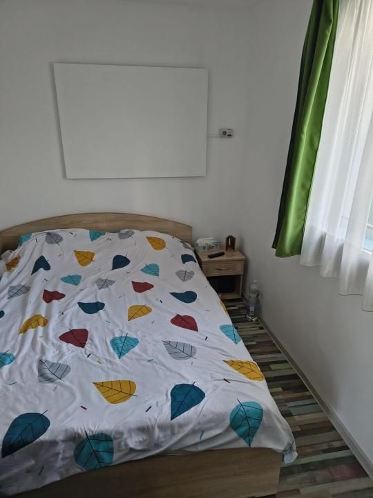 CASA LA TARA comuna Braduleț, Arges – fotografia 4 din 9