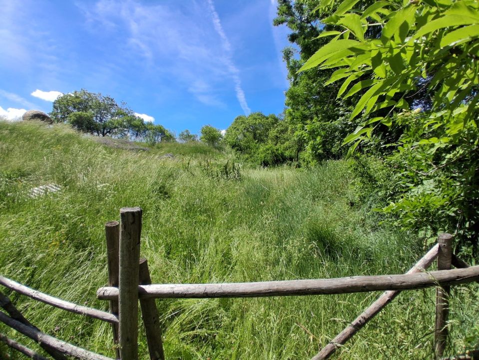 Ofertă de vânzare teren de 2700 mp., sat Popești – fotografia 5 din 6