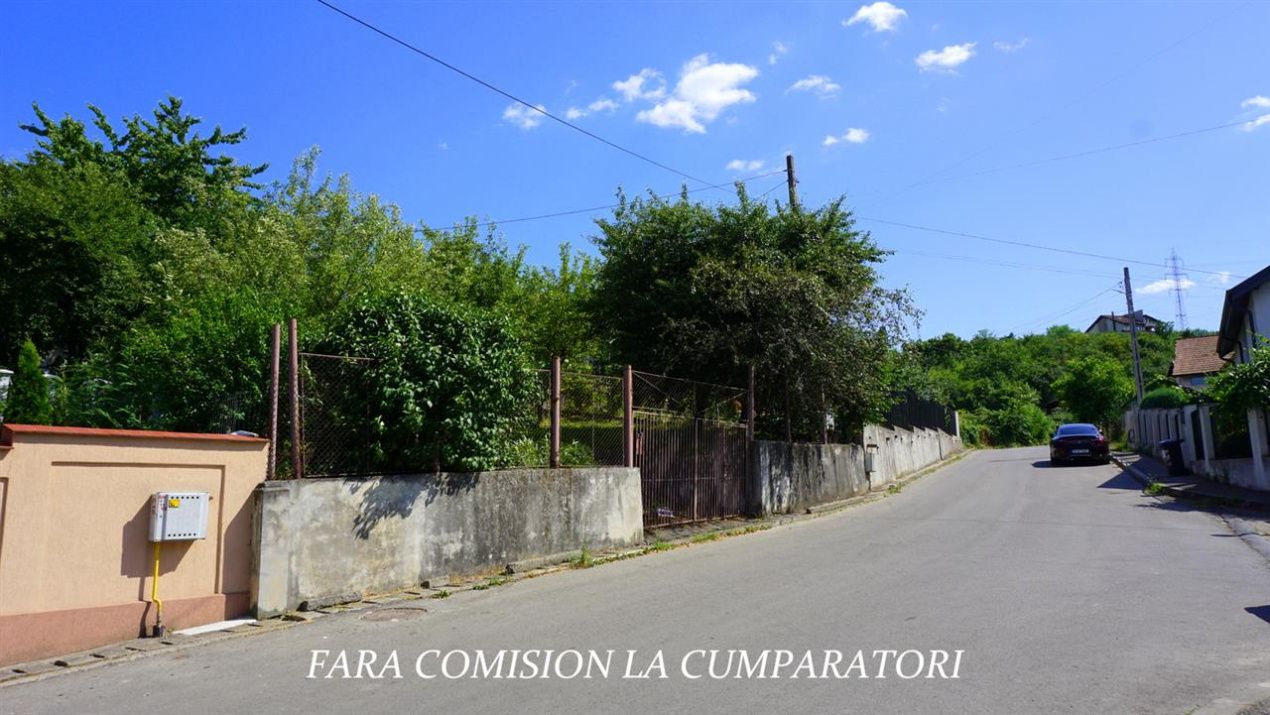 ANL- MORILOR TEREN 635 MP – fotografia 12 din 16