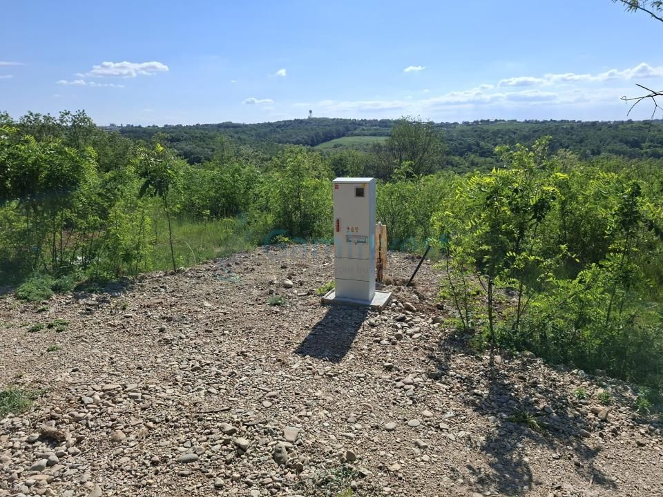 Teren intravilan de vanzare 9783 mp, in Paleu, Bihor – fotografia 6 din 8