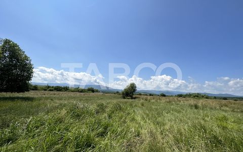 Teren intravilan 5000 mp zona Turnisor din Sibiu