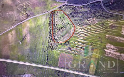 Teren cu suprafata 9100mp, zona Sub Coastă, Cluj-Napoca