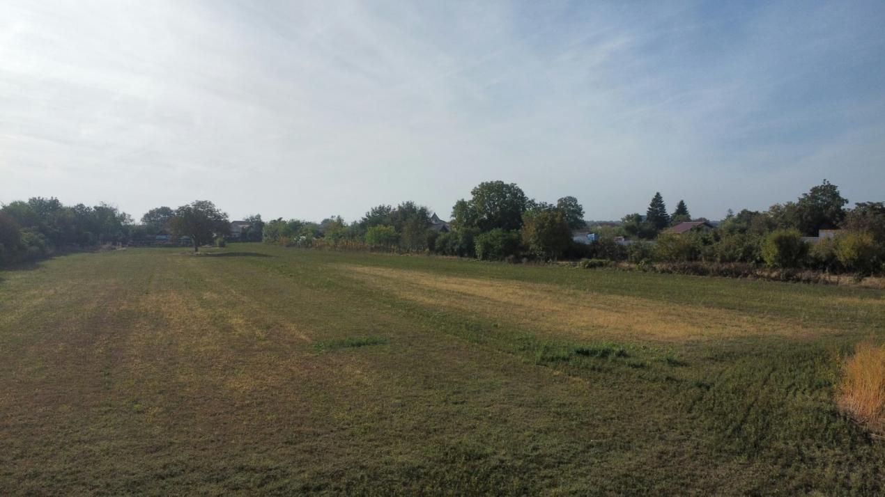 Dascălu -Teren intravilan arabil 7.182 mp – fotografia 4 din 13