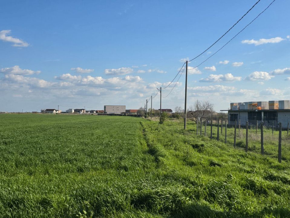Teren de vanzare in Tuzla – fotografia 3 din 6