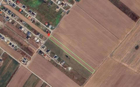 Teren Extravilan In Rate Primaverii Com. Berceni | 5000mp | #EG56E