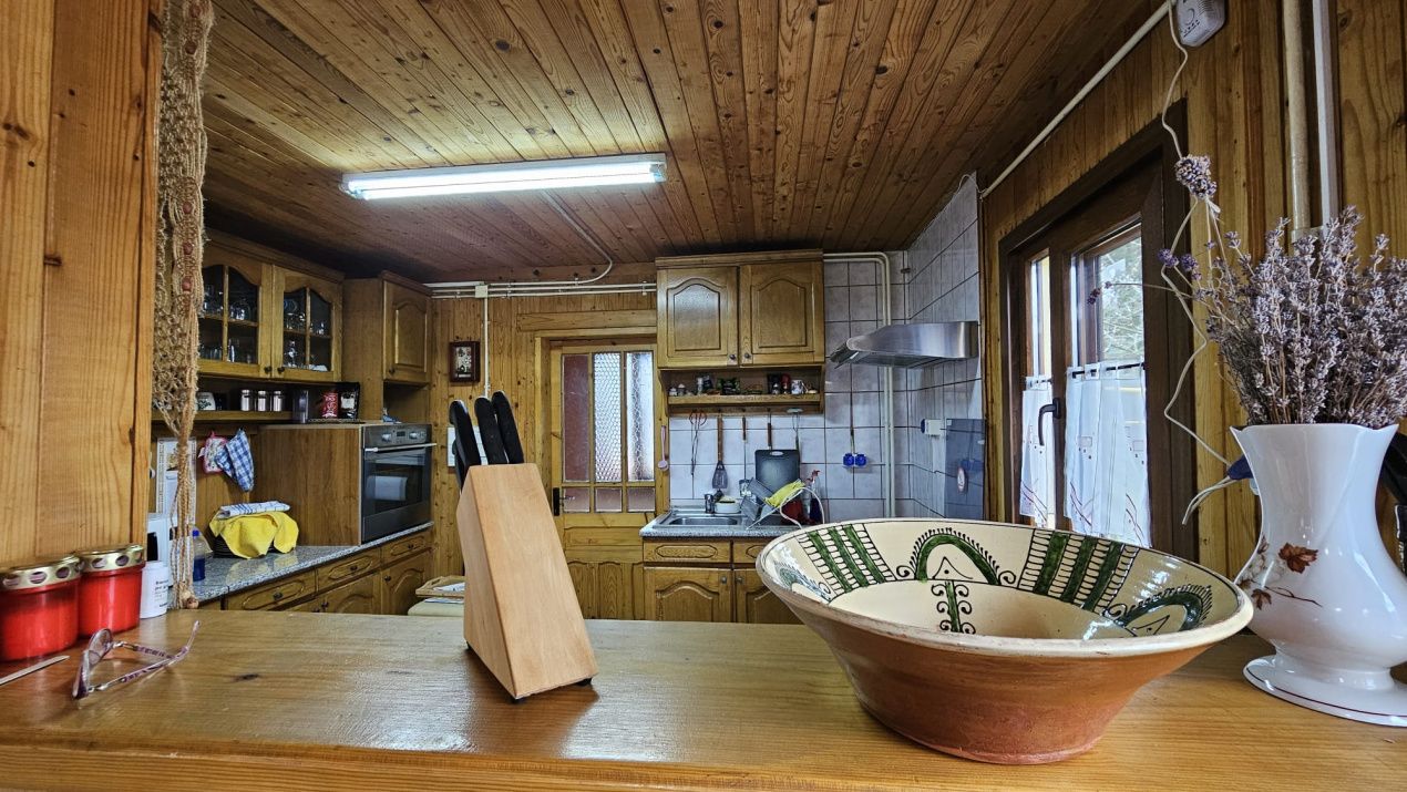 Casa de vanzare in padure | Bucium | Cartier select, restrans – fotografia 18 din 24