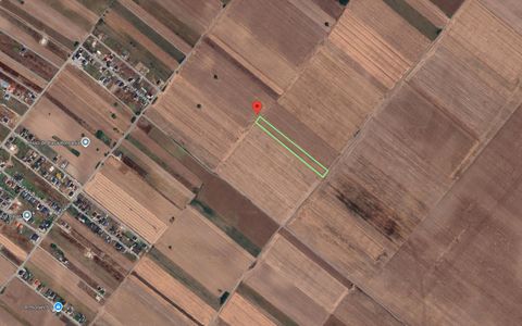 Teren Extravilan In Rate Primaverii Com. Berceni | 5901mp | #EG40
