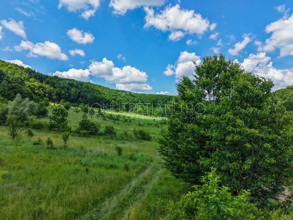 Teren Pasune + Arabil - Valea Mare Podgoria Arges – fotografia 11 din 29
