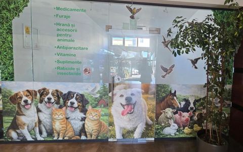 Spațiu comercial de închiriat pe Eroilor, Florești – 27mp